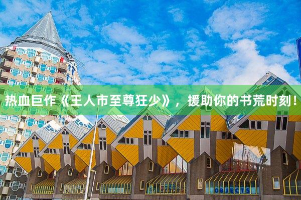热血巨作《王人市至尊狂少》，援助你的书荒时刻！