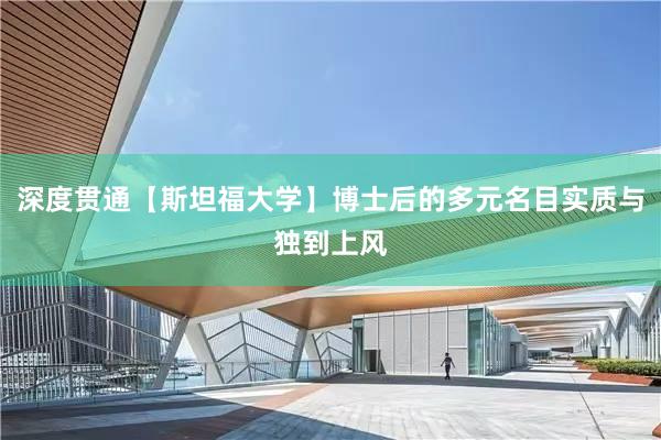 深度贯通【斯坦福大学】博士后的多元名目实质与独到上风