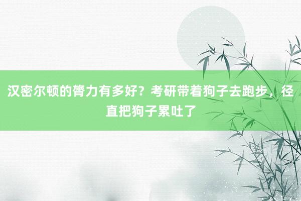 汉密尔顿的膂力有多好？考研带着狗子去跑步，径直把狗子累吐了