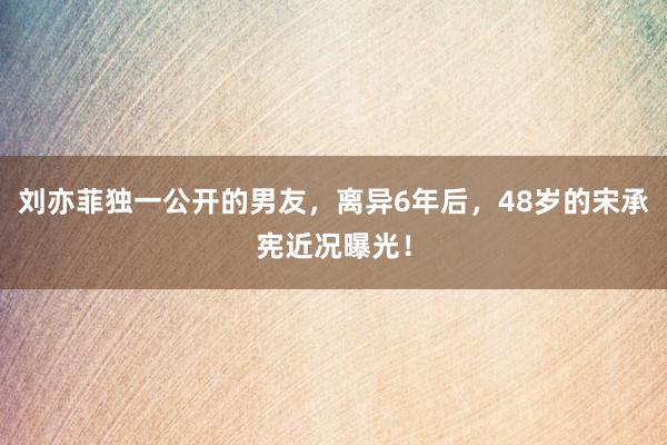 刘亦菲独一公开的男友，离异6年后，48岁的宋承宪近况曝光！