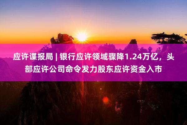 应许谍报局 | 银行应许领域骤降1.24万亿，头部应许公司命令发力股东应许资金入市
