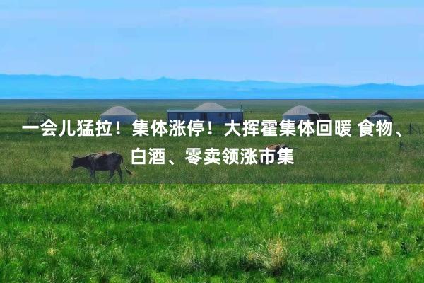 一会儿猛拉！集体涨停！大挥霍集体回暖 食物、白酒、零卖领涨市集