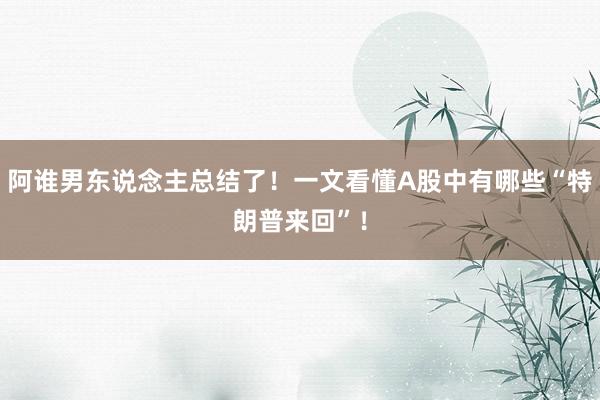 阿谁男东说念主总结了！一文看懂A股中有哪些“特朗普来回”！