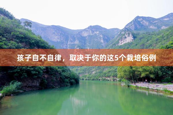 孩子自不自律，取决于你的这5个栽培俗例