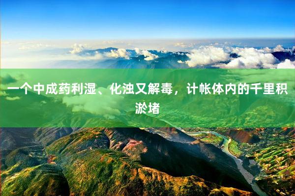 一个中成药利湿、化浊又解毒，计帐体内的千里积淤堵