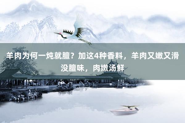 羊肉为何一炖就膻？加这4种香料，羊肉又嫩又滑没膻味，肉嫩汤鲜