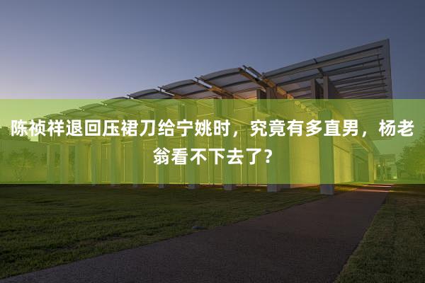 陈祯祥退回压裙刀给宁姚时，究竟有多直男，杨老翁看不下去了？