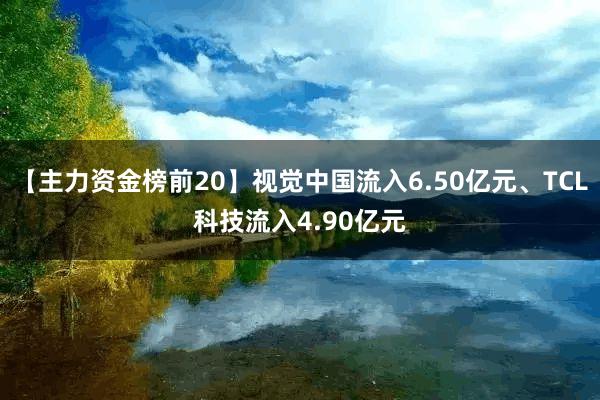 【主力资金榜前20】视觉中国流入6.50亿元、TCL科技流入4.90亿元