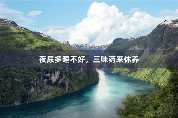 夜尿多睡不好，三味药来休养